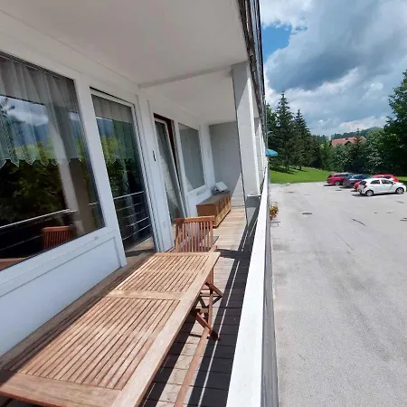 In - Steiermark 36993 Apartment Bad Mitterndorf
