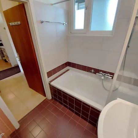In - Steiermark 36993 Apartment Bad Mitterndorf